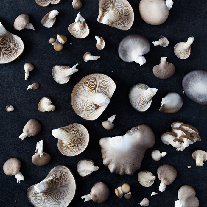 Photo of mushrooms on a dark slab