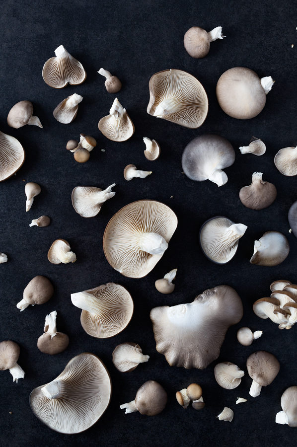 Photo of mushrooms on a dark background